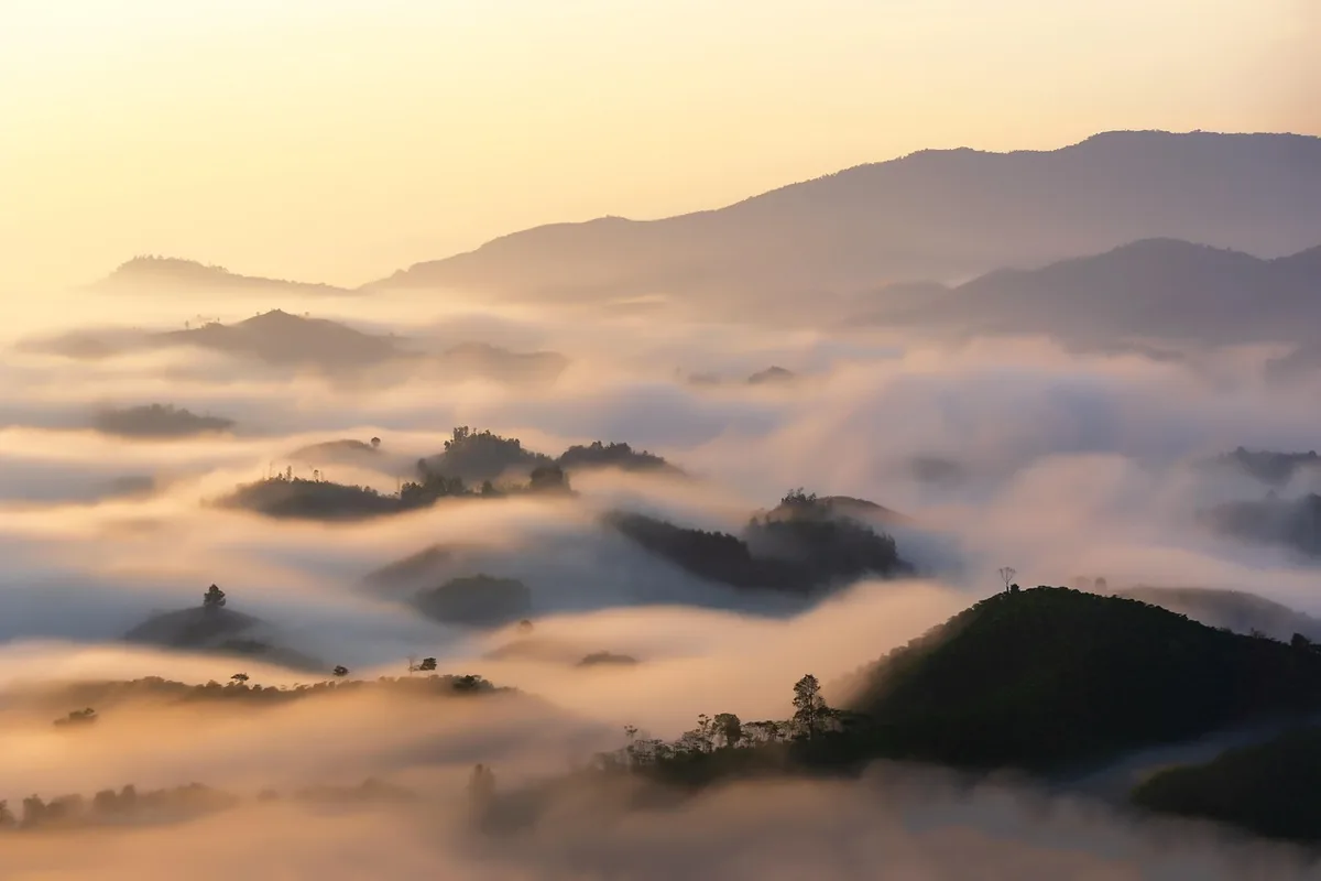 Colinas verdes que asoman entre un mar de nubes bajas, con montañas al fondo bajo la luz suave del amanecer